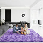 8x10 Area Rugs for Living Room, Large Fluffy Rugs for Bedroom, Fuzzy Shag Soft by Unknown