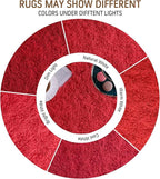 BENRON Soft Area Rugs for Living Room Bedroom Washable, Fluffy Rugs for Kids - Image 7