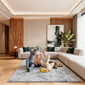 5x7 Area Rugs for Living Room, Large Fluffy Rugs for Bedroom, Fuzzy Shag Soft by Unknown