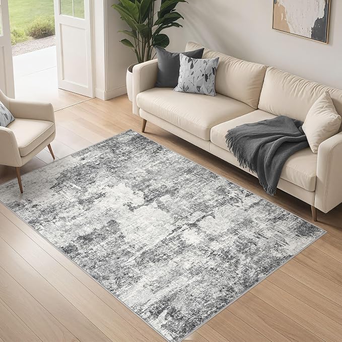 DMOYEST 4x6 Area Rug by DMOYEST