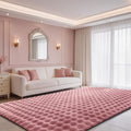 Dusty Rose Rabbit Plush Rug 4'x6', Fluffy Shaggy Area Rug by CHOVY