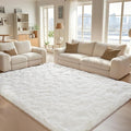 BENRON Soft Area Rugs for Living Room Bedroom Washable, Fluffy Rugs for Kids by BENRON
