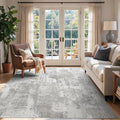 4x6 Ft Area Rugs for Living Room, Soft Non-Slip Washable Rugs Modern Abstract by Cuzwlovita
