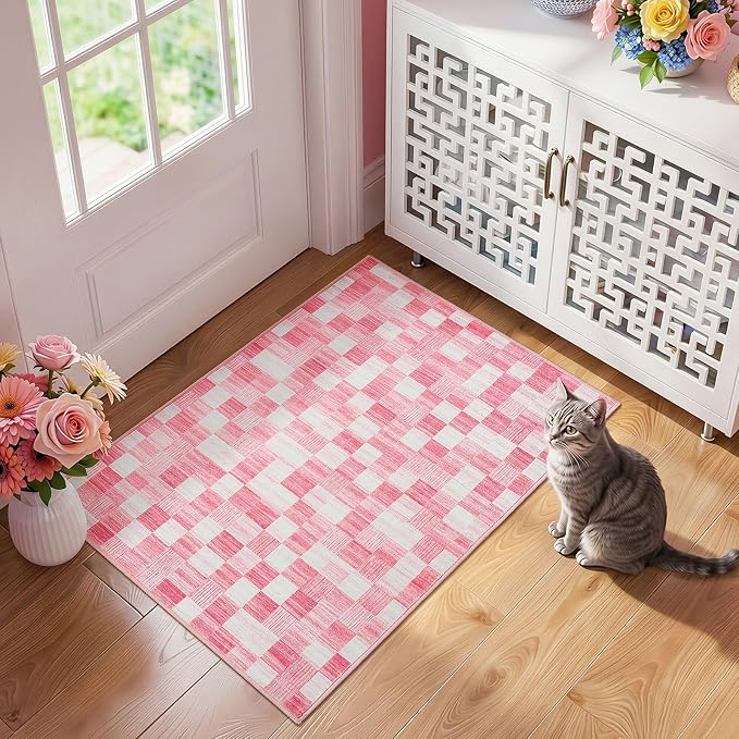 Terrug Pink Checkered Rug for Entryway, 2x3 Small Area Rugs Washable by TerrugHomeDecor