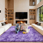 Area Rugs 9x12 Living Room, Large Fluffy Rugs by Unknown