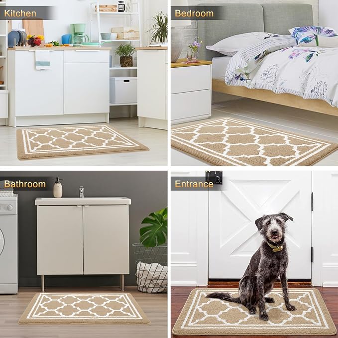 Buganda Indoor Door Mat, Dirt-Resistant and Absorbent Doormat, Low Profile - Image 6