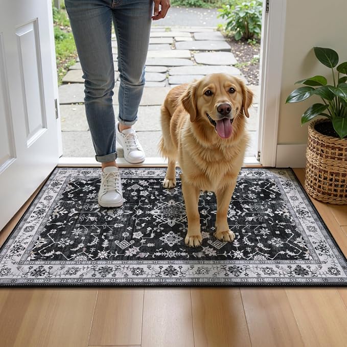 HEBE Washable Aera Rug 2'x 3' Non Slip Door Mat Indoor Entrance, Low Pile - Image 8