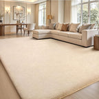 Sour Lemon 6x9 Area Rugs for Living Room, Soft Large Area Rug Fluffy Rugs for by SourLemon