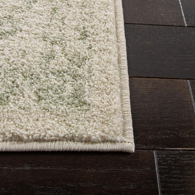 SAFAVIEH Adirondack Collection Area Rug - Image 6