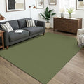 KOZYFLY Washable 5x7 Living Room Rug, Non Slip Woven Area Rugs, Braided Floor by KOZYFLY