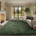 6x9 Ft Large Green Area Rug for Bedroom Living Room, Ultra Soft Fluffy Furry by Cuzwlovita