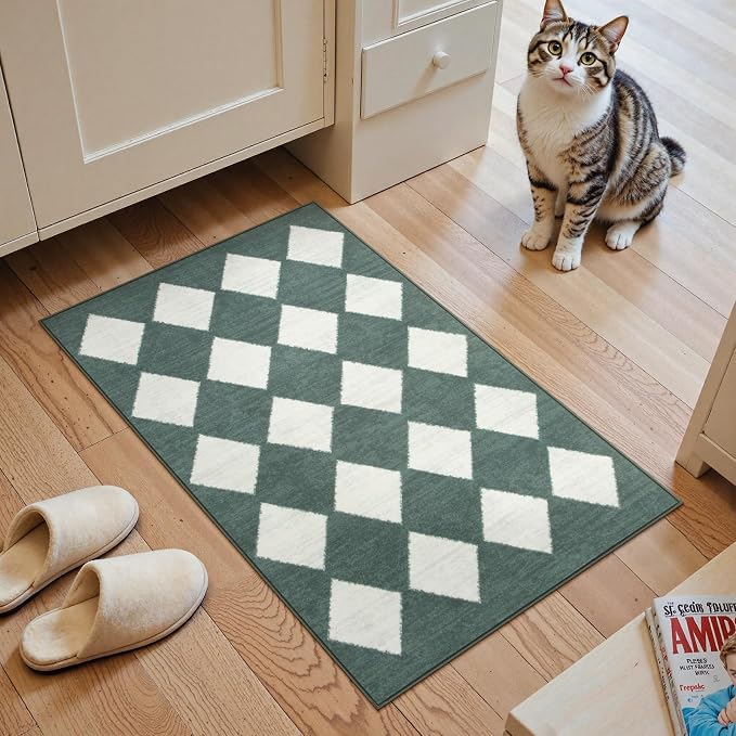 Lahome Zelie Checkered Washable 2x3 Green Kitchen Rugs Non Slip, Small Printed - Image 8