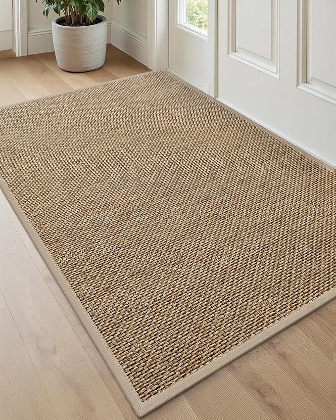 DEXI Ultra Thin Entryway Indoor Door Mat 32x48, Non Slip Rubber Backing Inside by DEXI