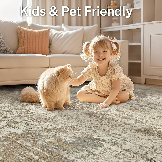 Area Rug Living Room - Image 6