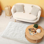 BENRON Cream White Fluffy Rug 2 x 3, Soft and Plush Throw Rugs - Image 4