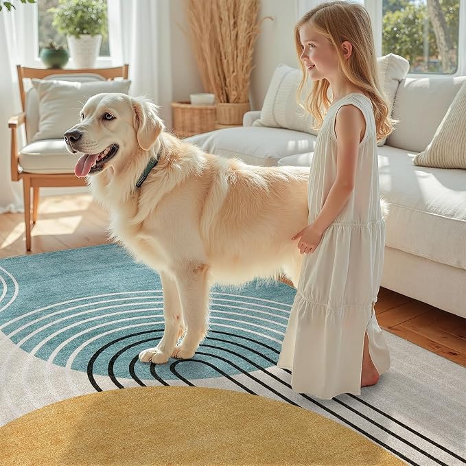 DCX Abstract Machine Washable 6x8 Rug, Mid Century Modern Rug - Image 5