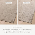 Loloi Amber Lewis Monty Collection MOT-05 Beige/Natural 2'-7" x 8'-0", .50" - Image 3