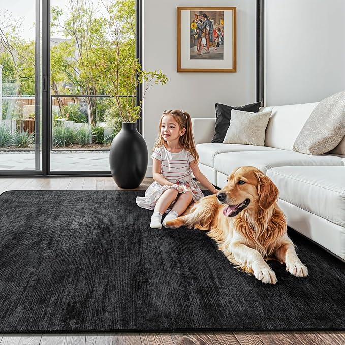 LIANLAM Washable Rug 4x6 Area Rugs - Image 2