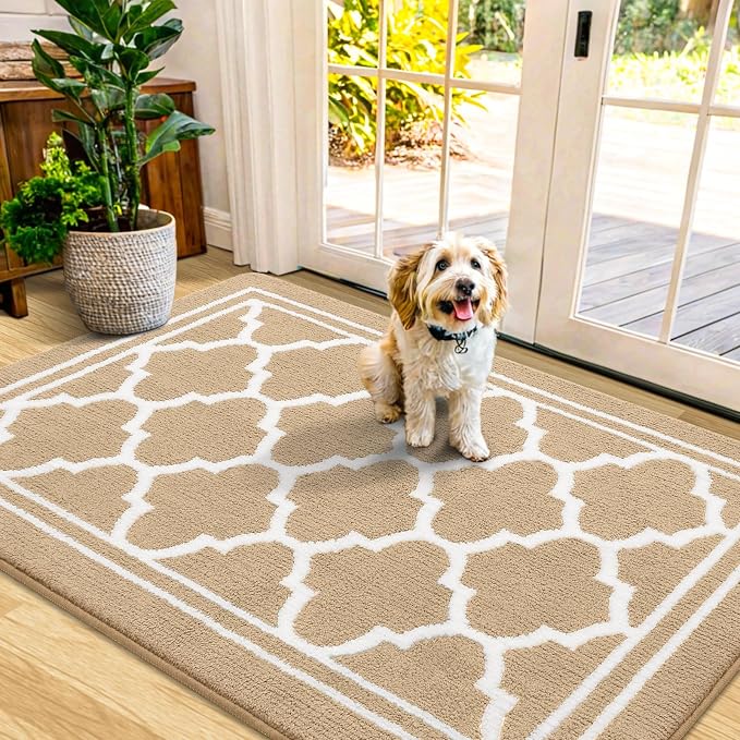 Buganda Indoor Door Mat, Dirt-Resistant and Absorbent Doormat, Low Profile by Buganda