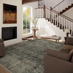 Washable Living Room Area Rug: 5x7 Rugs - Image 3