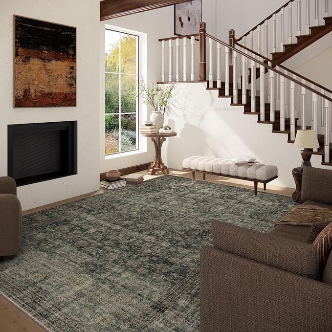 Washable Living Room Area Rug: 5x7 Rugs - Image 3
