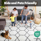 ONASAR 7x9 Area Rugs for Living Room Bedroom, Large Fluffy White and Grey Throw - Image 3