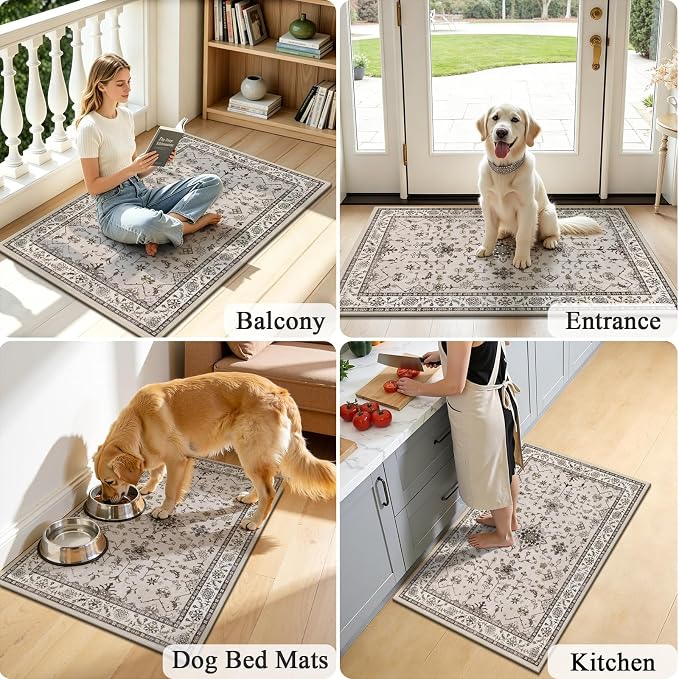HEBE Washable Aera Rug 2'x 3' Non Slip Door Mat Indoor Entrance, Low Pile - Image 6