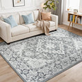 Lessymo 5x7 Area Rug for Living Room by Lessymo