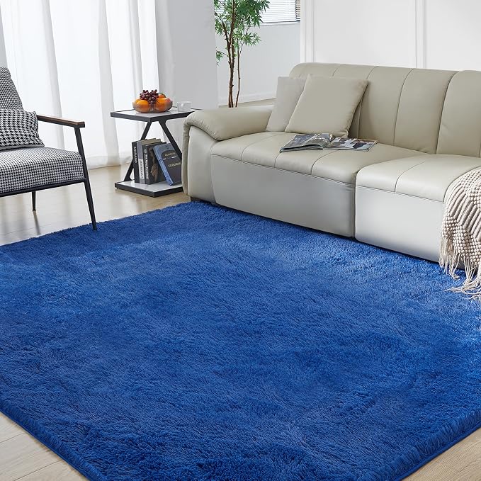 Ultra Soft Rug for Living Room, 3X5 Fluffy Shag Area Rug for Bedroom, Modern by Fairblink
