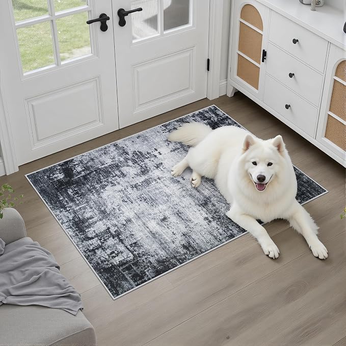 Washable Area Rug 2x3 Entryway Rug: Washable Modern Abstract Soft Thin Rug - Image 2
