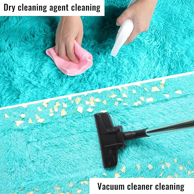PAGISOFE Soft Fluffy Teal Area Rugs - Image 7