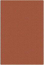 KOZYFLY Indoor Door Mat 2x3 ft Small Area Rugs Washable Front Door Mat Non Slip - Image 9