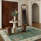 Machine Washable Rugs for Living Room: 5x7 Bedroom Rug Vintage Rug Stain - Image 8