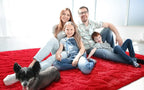 LOCHAS Ultra Soft Indoor Modern Area Rugs Fluffy Living Room Carpets - Image 2