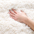 SAFAVIEH Area Rug 3x5 by Unknown
