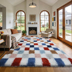 Large Shag Area Rug for Bedroom Living Room, 8x10 Fluffy Soft Colorful by Boshengya