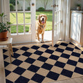 Lahome Colette Checkered Easy Jute Entry Rug, 3x5 Black Outdoor Patio Rug by Lahome