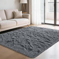 Fluffy Rug Shag Area Rug, Small Bedside Rug, Soft Fluffy Shag Entryway Throw by Yongyangjuxi