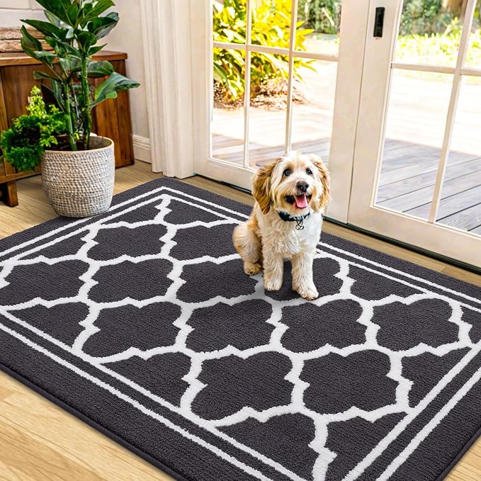 Buganda Indoor Door Mat, Dirt-Resistant and Absorbent Doormat, Low Profile by Buganda