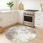 IOHOUZE Round Area Rug 5 Ft Circle Entryway Rugs Round Washable Door Mat Indoor - Image 2