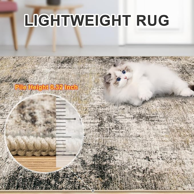 6x9 Area Rugs for Living Room - Image 7