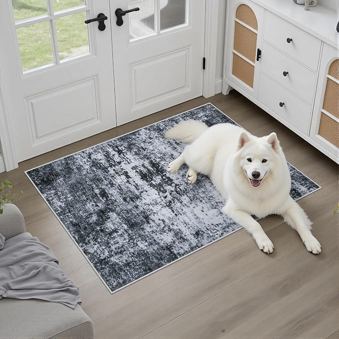Washable Area Rug 2x3 Entryway Rug: Washable Modern Abstract Soft Thin Rug - Image 2
