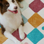 jinchan Macy Area Rug for Kids Room 4'x4' Square Rug Modern Colorful Nursery - Image 4