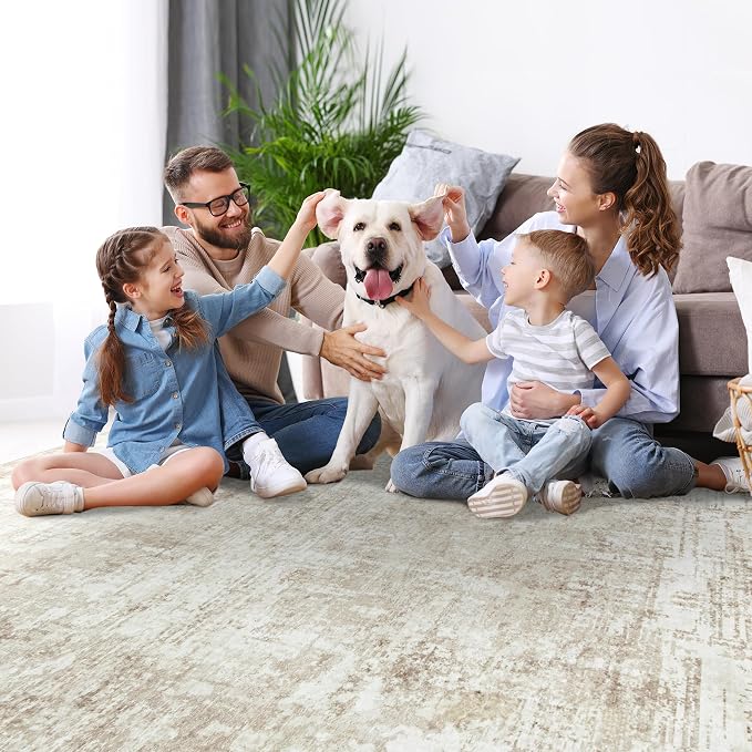 5x7 Area Rugs for Living Room Rug Washable: Modern Rug for Dining Room Bedroom - Image 7