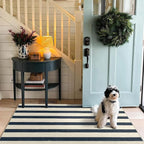 Blue and White Striped Entry Rug - Image 8