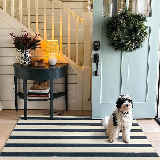 Blue and White Striped Entry Rug - Image 8