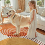DCX Abstract Machine Washable 4x6 Rug, Mid Century Modern Rug - Image 3
