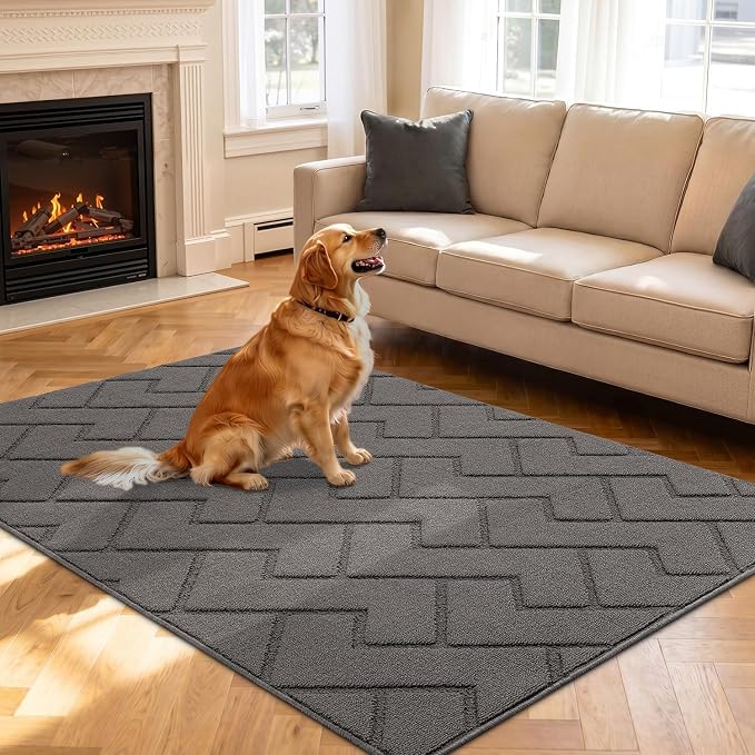 hicorfe Indoor Doormat, Front Back Door Mat Rubber Backing Non Slip Door Mats by Hicorfe