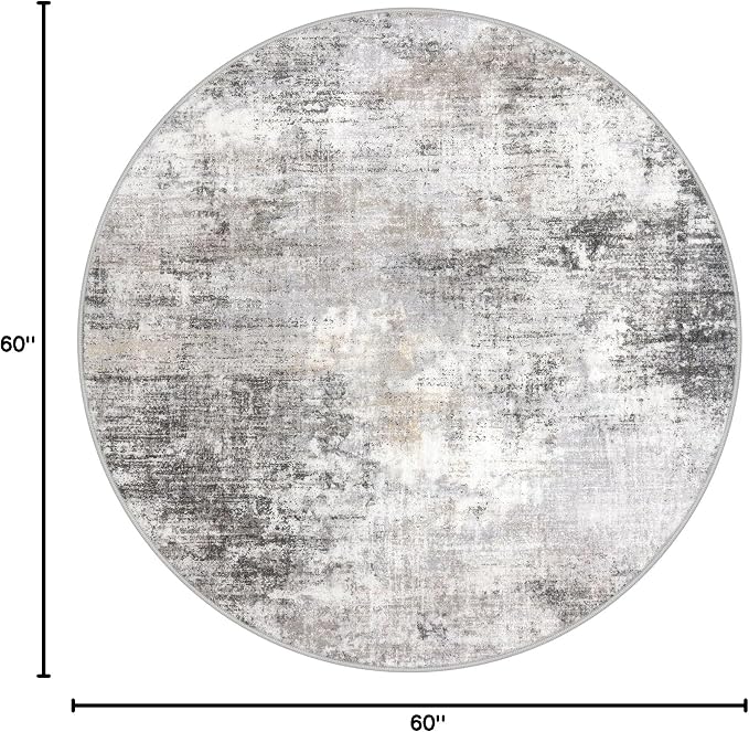 IOHOUZE Round Area Rug 5 Ft Circle Entryway Rugs Round Washable Door Mat Indoor - Image 2