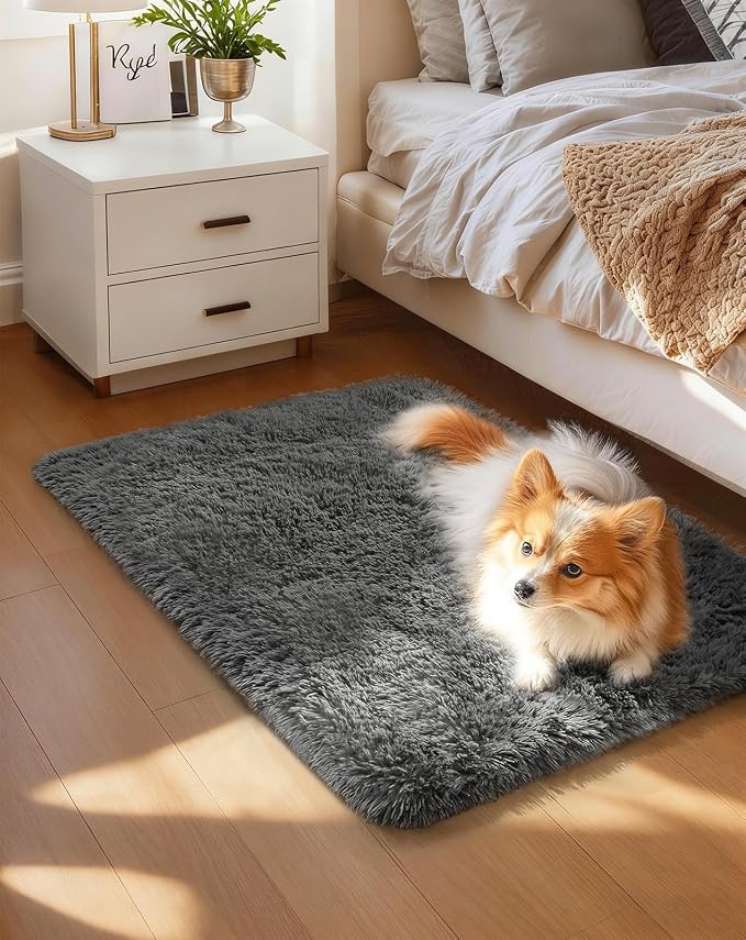 Ophanie Small Rug Washable Non Slip Throw Bedside Area Rugs, Fluffy Soft Mini by Ophanie